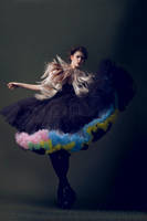 irrational bird 8 by Julietsound