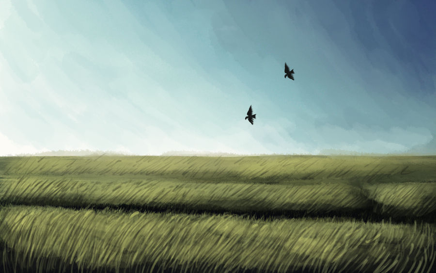 wheat field by Chalybis