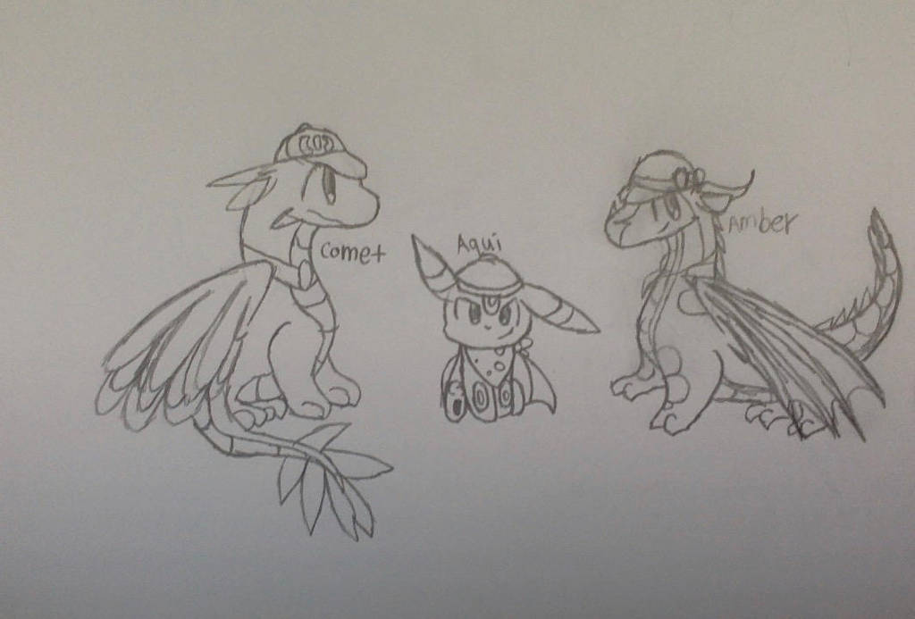 Pokemons and dragons CE and gifts! by CloudtheDragonet