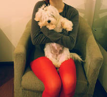 Loki. by photoutopia