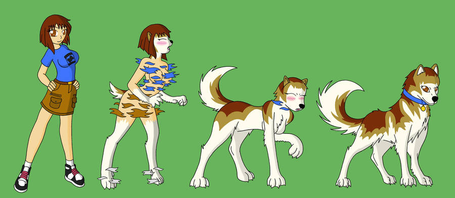 animal tf favourites by jacoder10ho on DeviantArt
