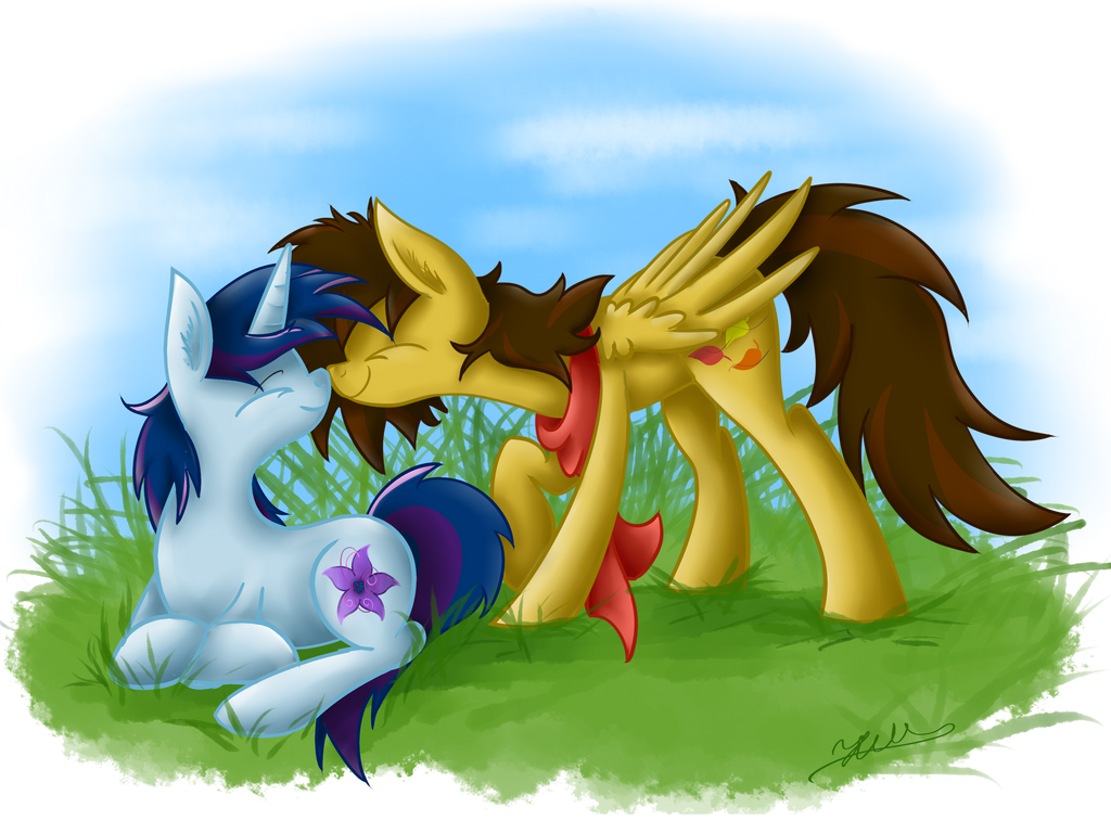 Awwwww by Hilis Awwwww by Hilis