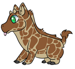 Pygmy Giraffe adopt by Feniick