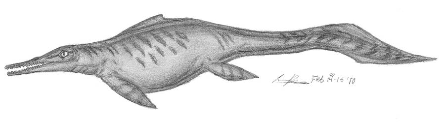 Mixosaurus cornalianus by EmperorDinobot
