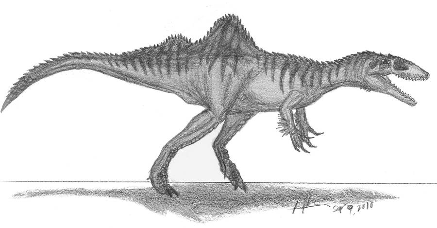 Concavenator corcovatus by EmperorDinobot