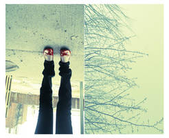 Snow today by thaissa