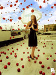 Why Apples by pt-photo-inc