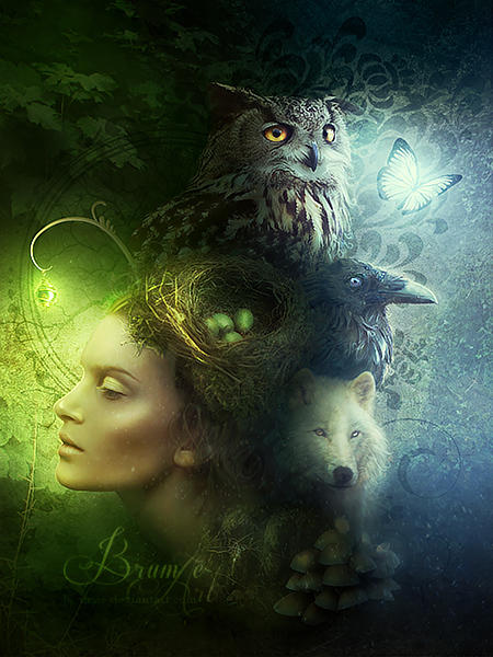 Legends of the Forest by Brumae-Art Legends of the Forest by Brumae-Art