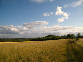 Fieldy goodness 2 by The-strawberry-tree