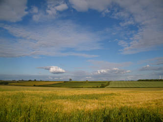 Fieldy goodness 3 by The-strawberry-tree