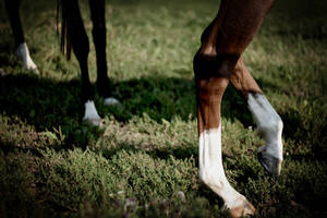 Movements by milieere