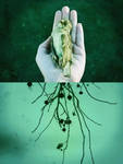 death of a singer by AshleyMae