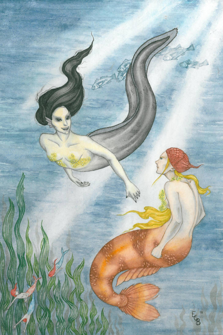 Mermaid and Merrow by erinclaireb Mermaid and Merrow by erinclaireb