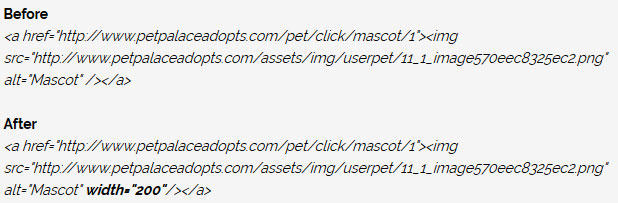 Codeeee by PetPalaceAdopts Codeeee by PetPalaceAdopts