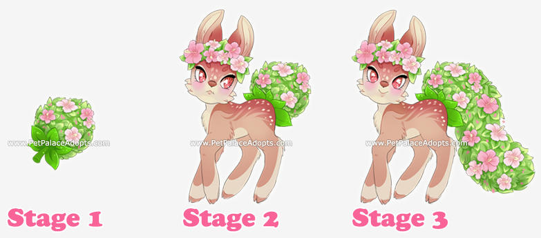 Ddaadadda by PetPalaceAdopts Ddaadadda by PetPalaceAdopts