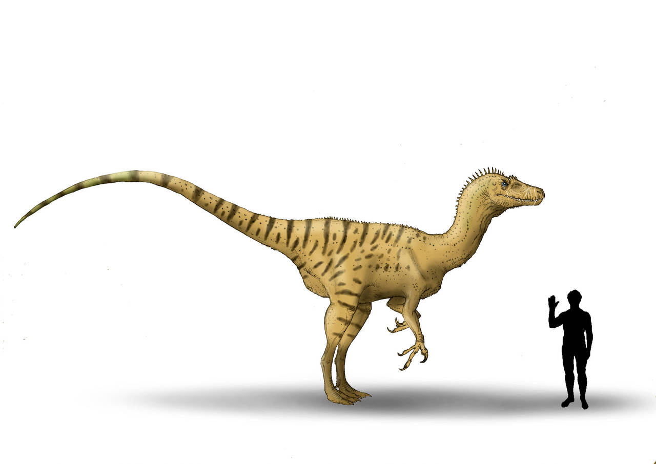 Deltadromeus by Hyrotrioskjan