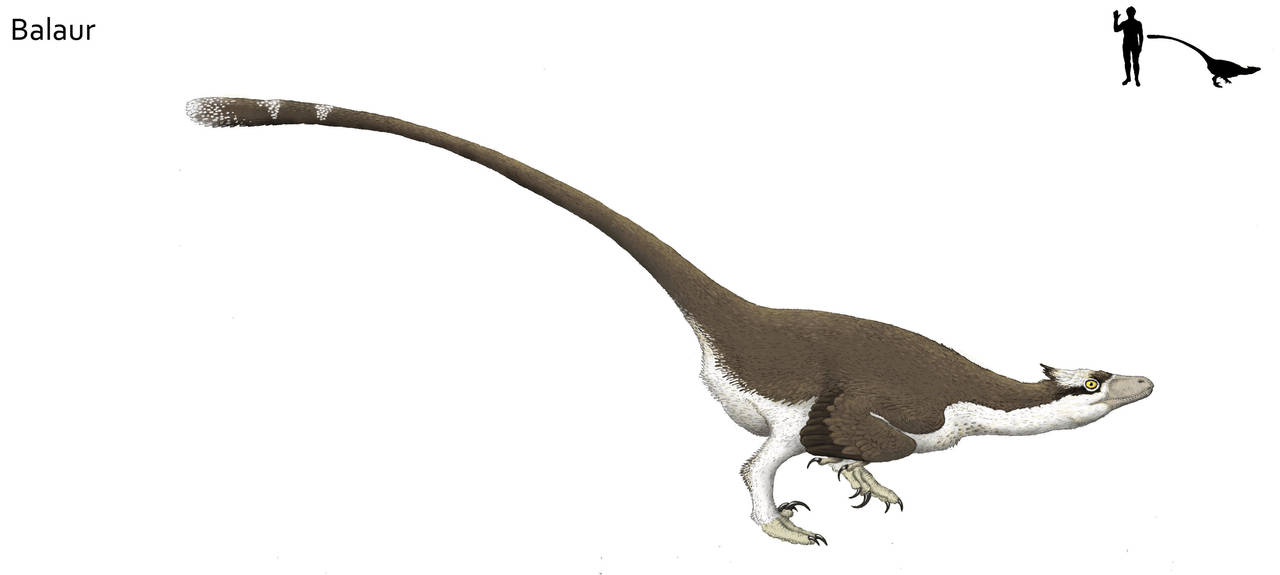 Balaur bondoc by Hyrotrioskjan