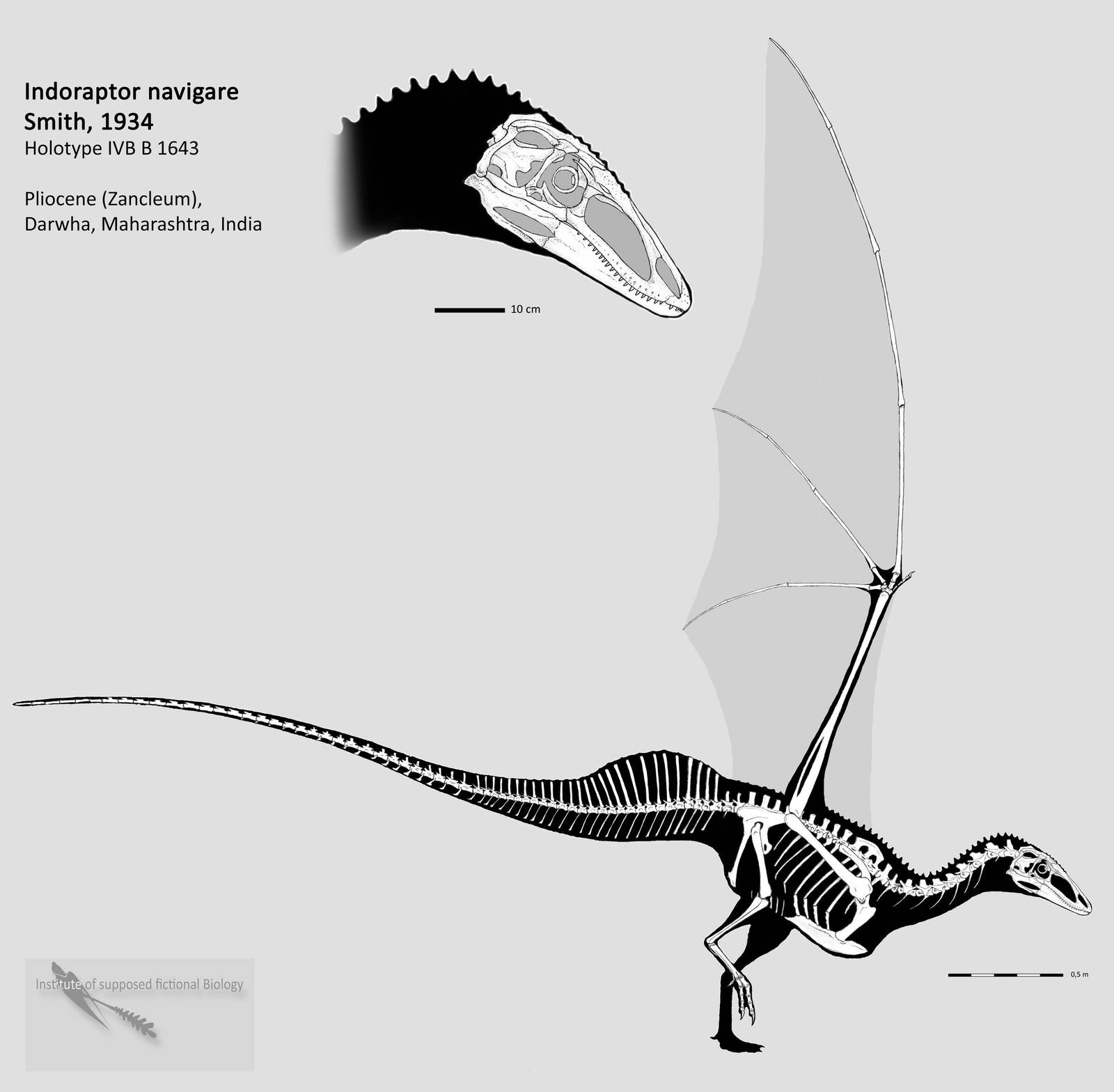 Indoraptor complete skeleton by Hyrotrioskjan on DeviantArt