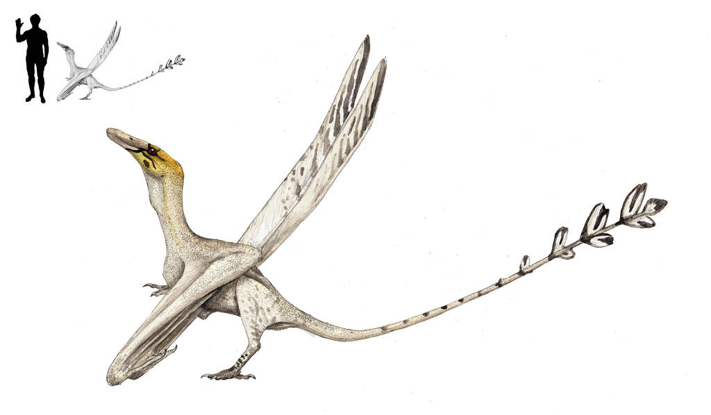 Flavaalae wellnhoferi by Hyrotrioskjan