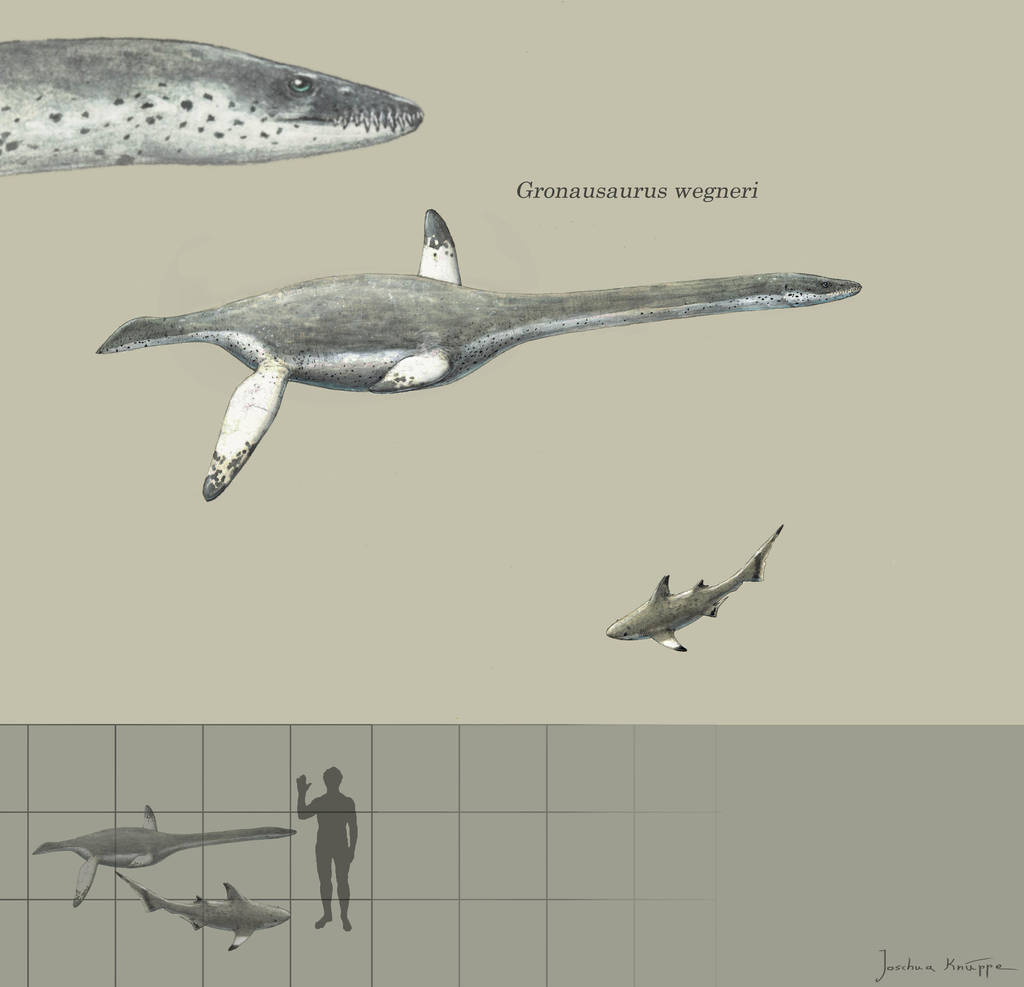 Gronausaurus by Hyrotrioskjan