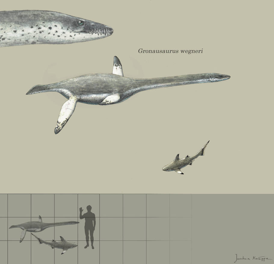 Gronausaurus by Hyrotrioskjan