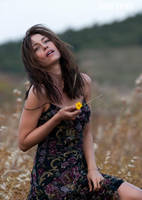 Nothing Worries Me by Piddling