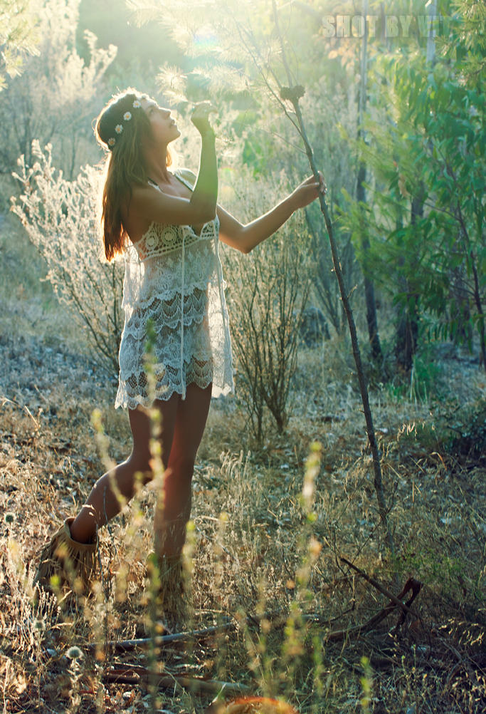 The Collector by Piddling