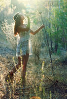 The Collector by Piddling