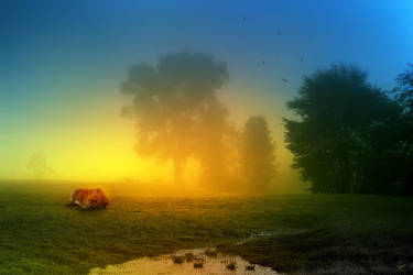 You Don't Know How Lucky You Are by MoodyBlue