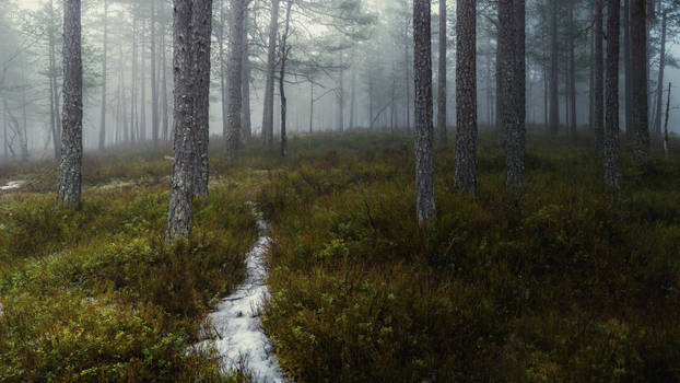 The Unexpected Journey by oprust