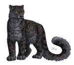 Snow Leopard by DeyVarah