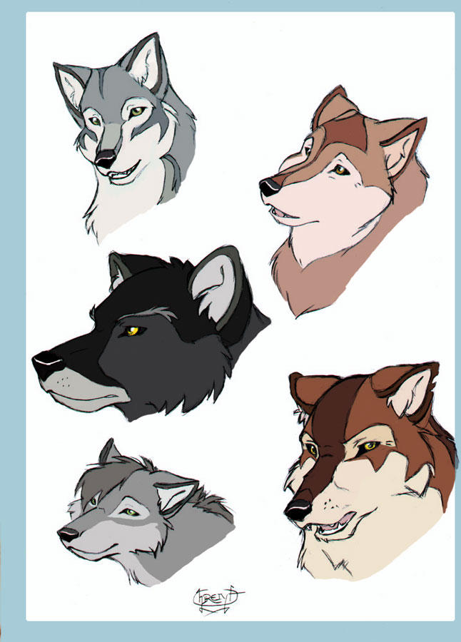 The Wolf adults by DeyVarah