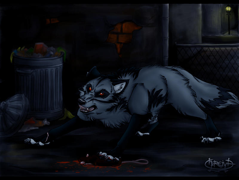 -.:Do Not Disturb:.- by DeyVarah