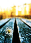 Join Me_ 2nd version by Augenlicht