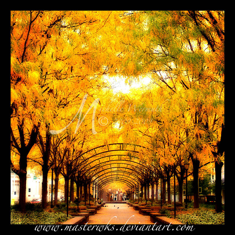 The Golden Path by InLightImagery