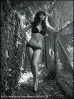 Tres, Los Angeles 2008 by stevedietgoedde