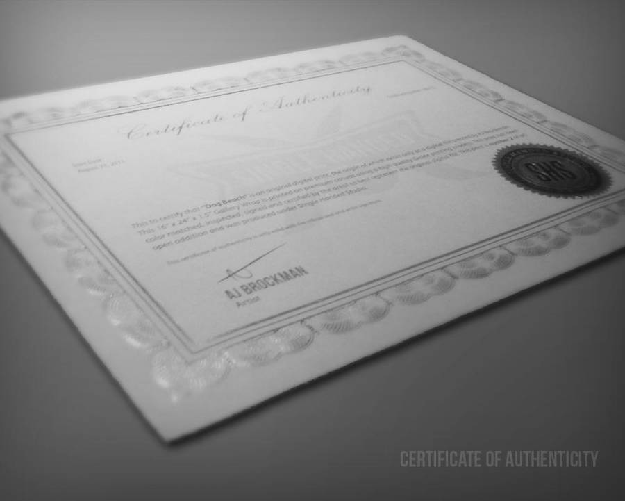 Certificate of Authenticity by SingleHandedStudio