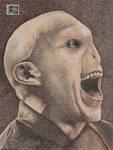 Lord Voldemort by LadyGray01