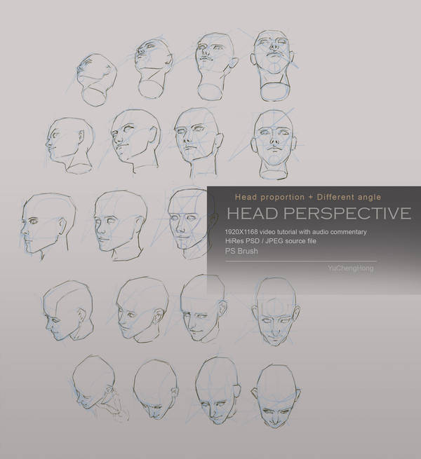 Head perspective tutorial by yuchenghong