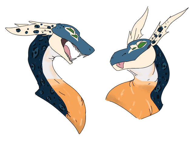 dctlroi-a3e3c0d9-37be-442e-a754-e58b1c0fa08c.png