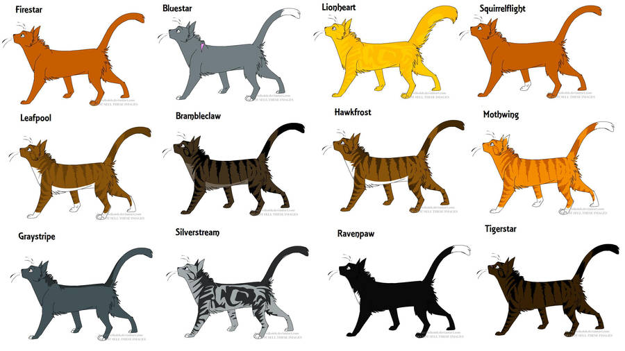 warrior cats by whisperCAT on DeviantArt