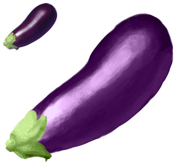 Eggplant Terong by k4glimit