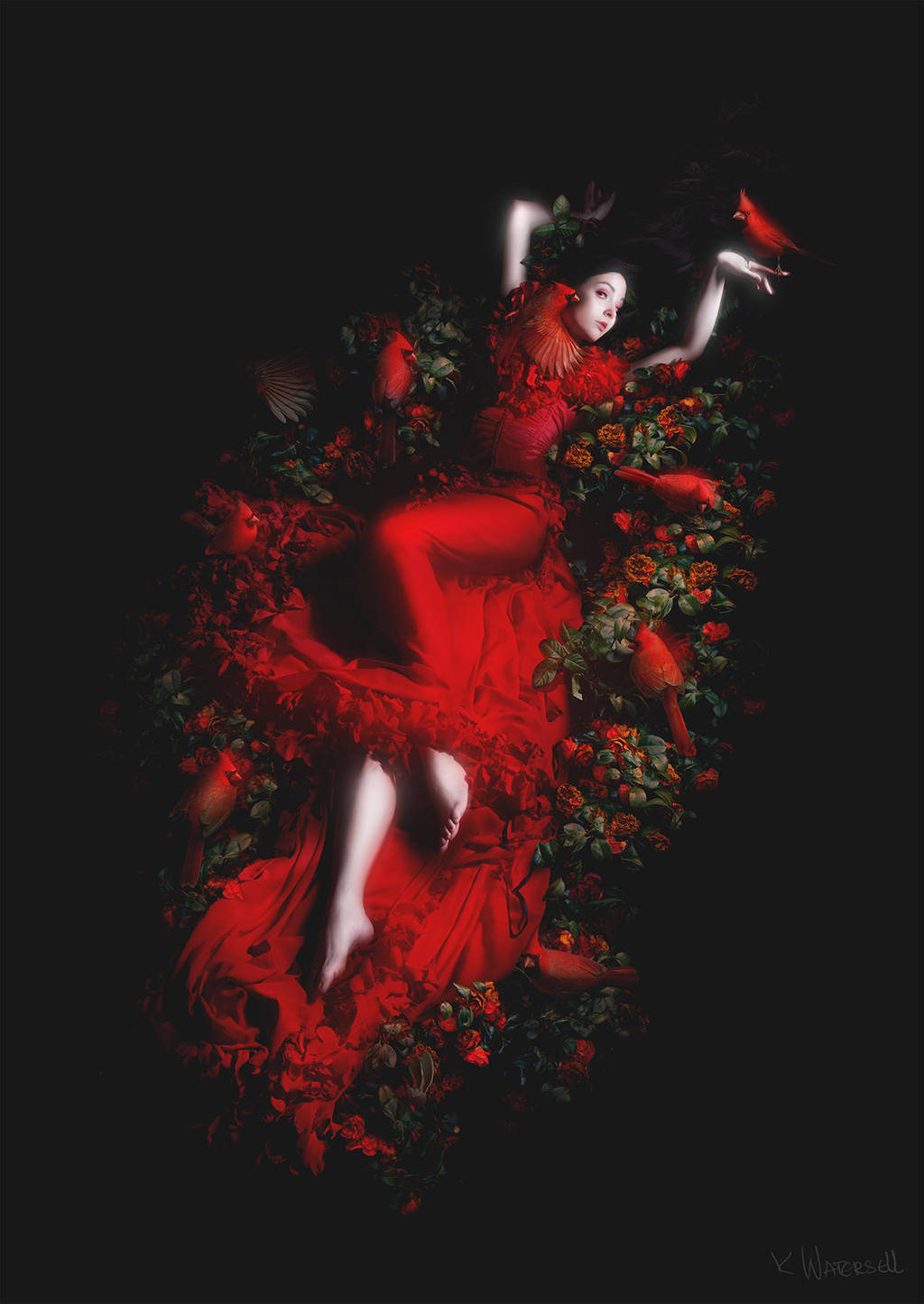 Red by Katie-Watersell