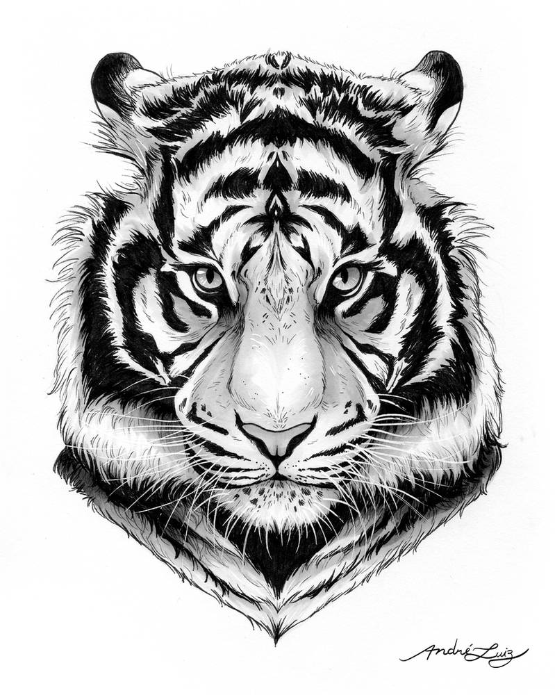 Inktober 2017 - Day 14: Fierce by AndreLuizBarbosa