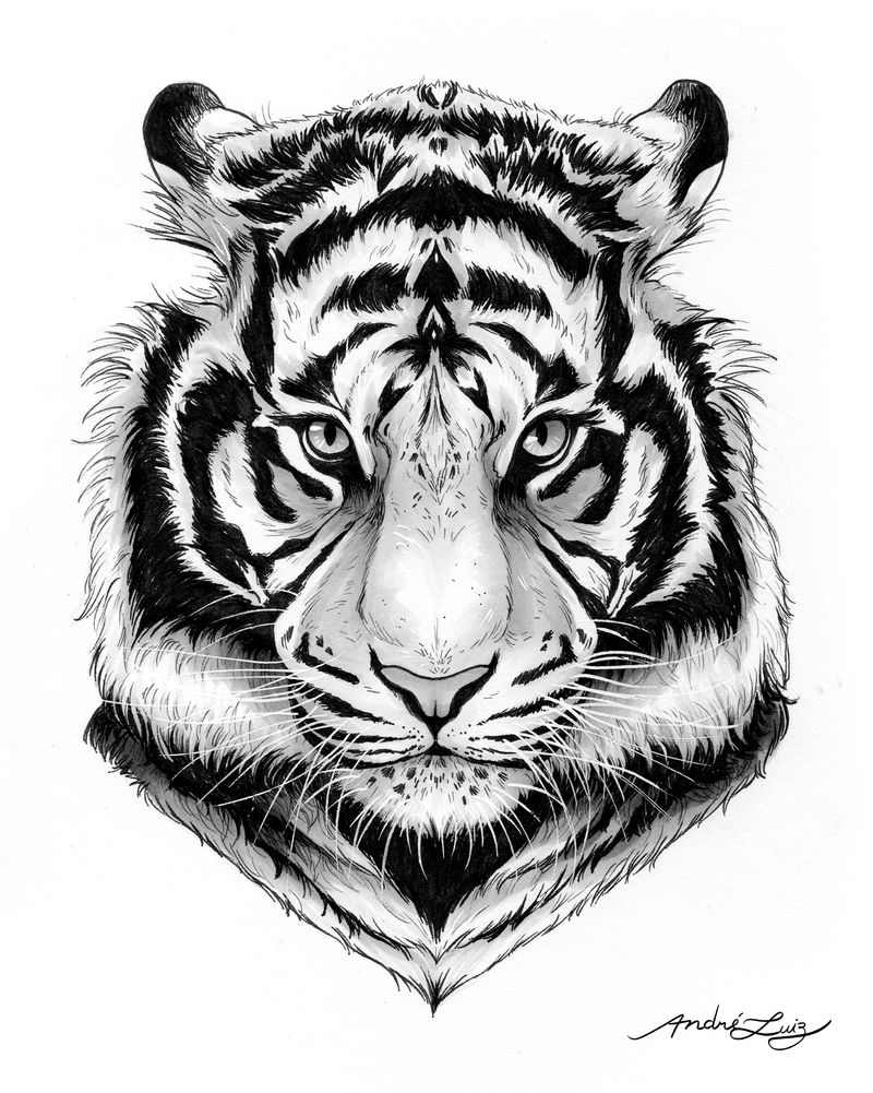 Inktober 2017 - Day 14: Fierce by AndreLuizBarbosa