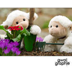 gardening work by Gwali