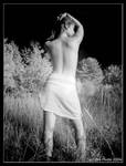 Ir Study - Model 2 by zaleone
