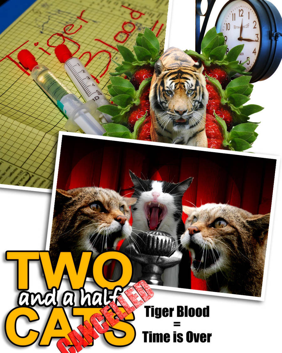 Two and a Half Cats by vampipe