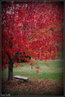 So Beautiful by laur-killed-you