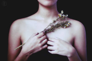 Whatever happened in December by Dayngel